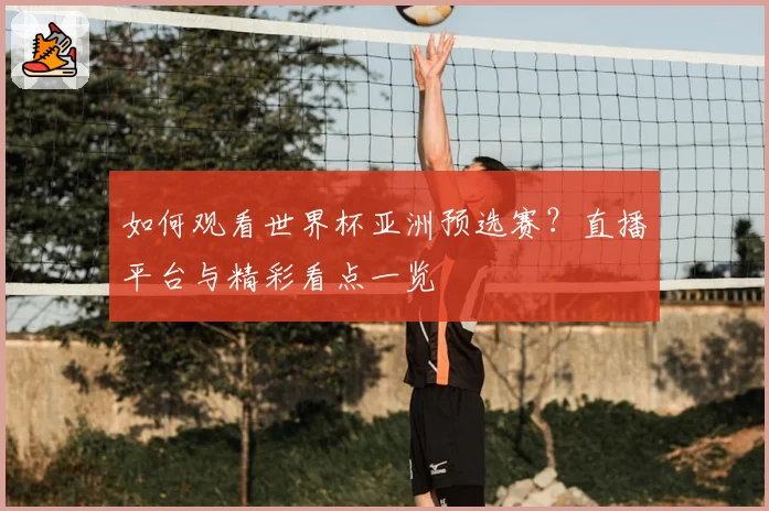 如何观看世界杯亚洲预选赛？直播平台与精彩看点一览