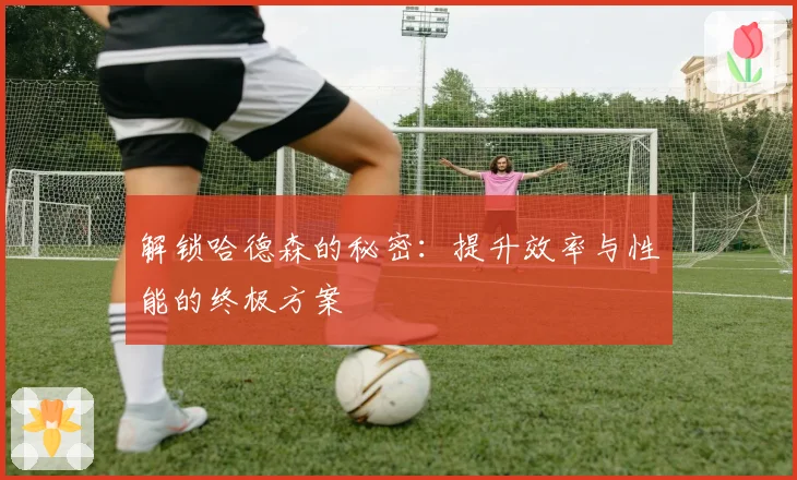 解锁哈德森的秘密：提升效率与性能的终极方案