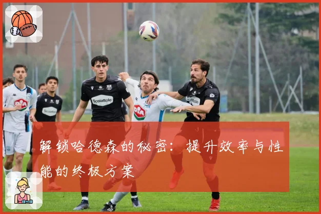 解锁哈德森的秘密:提升效率与性能的终极方案
